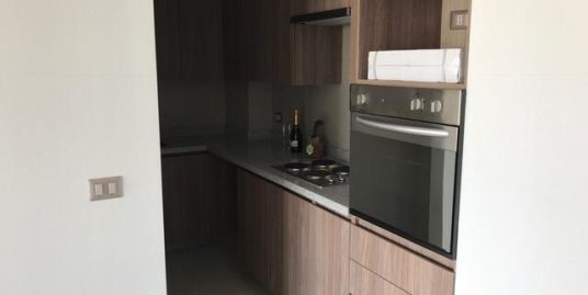 Arriendo céntrico departamento nuevo Metro hospitales